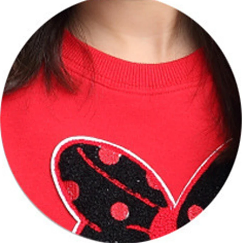 Комплект одежды для девочек спортивный свитер с принтом в виде бабочек + юбка до