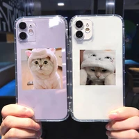 cute cats new year gifts phone case for iphone 13 12 11 8 7 plus mini x xs xr pro max transparent soft