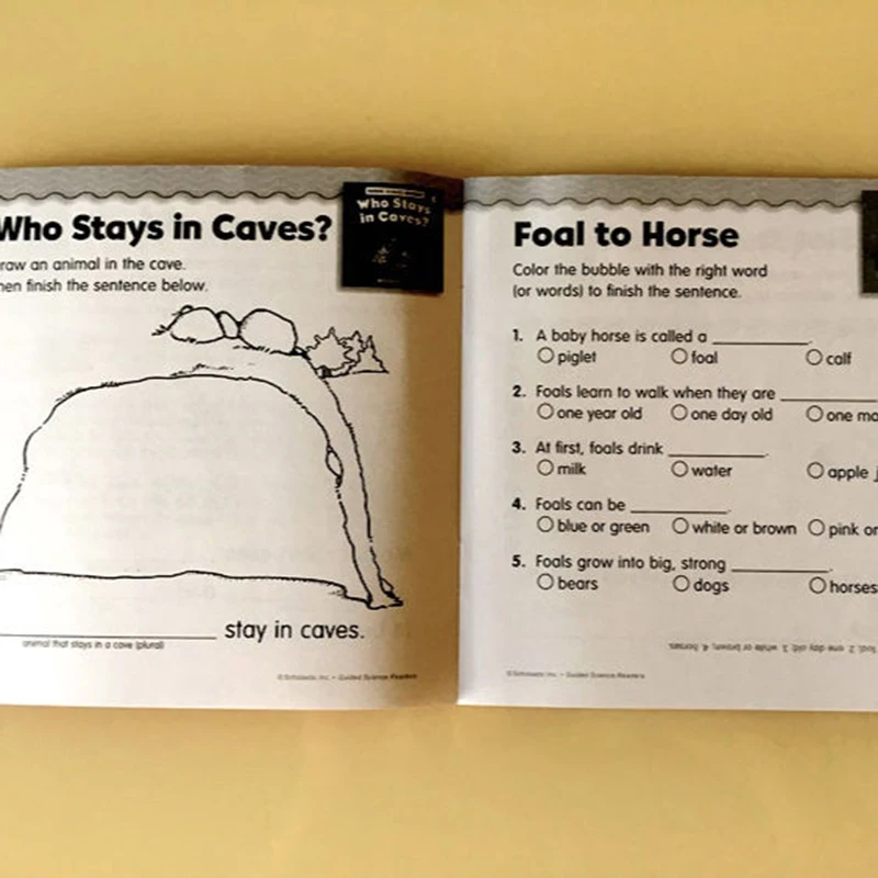 5 шт./набор детские книги с руководством на английском языке