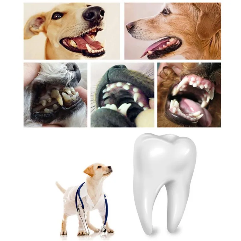 5 шт. набор инструментов для гигиены зубов зубной камень скребок скалер