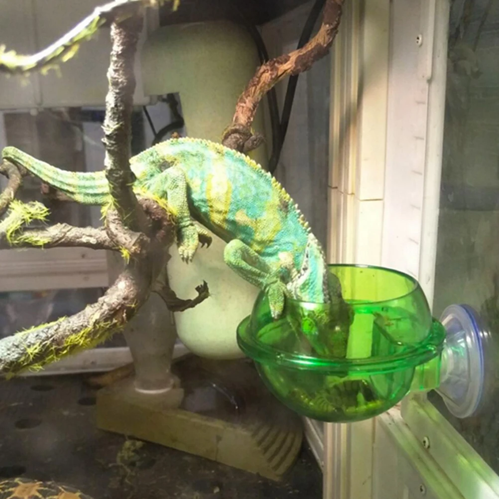 Кормушка для рептилий водное блюдо Gecko Ledge всасывающая кормушка-чашка товары