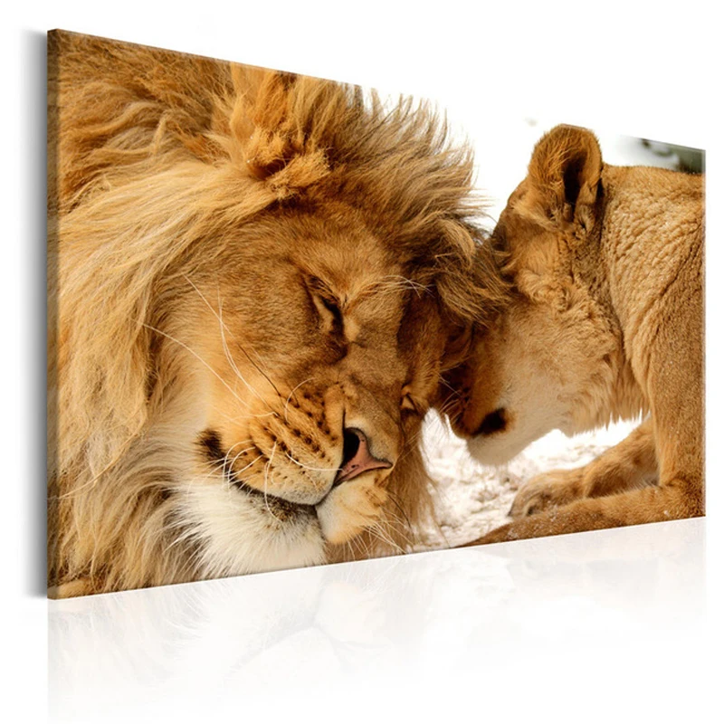 Полностью алмазная живопись Черно-белое животное Diy круглая Алмазная вышивка лев