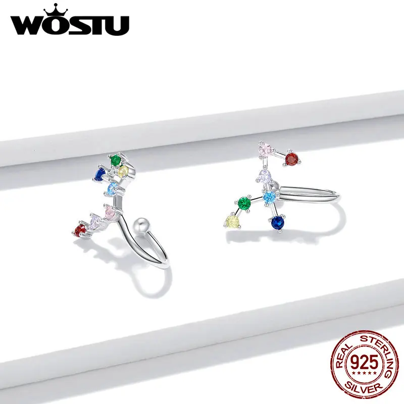 WOSTU Настоящее 925 стерлингового серебра Стар трек узор серьги-гвоздики в виде