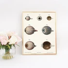 Изображение человеческого глаза, подарки, анатомический плакат оптометрический декор, клиника, настенная живопись на холсте, медицинская школа, диаграмма глаз