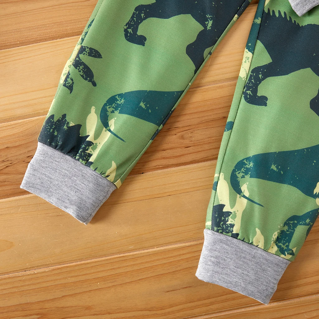 

Toddler Boy Dinosaur Hooded & Pants Set