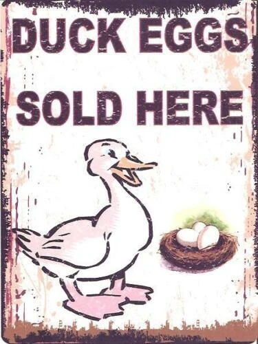 

Duck Eggs Sold Here Metal Sign Retro Vintage Style Cartoon Funny