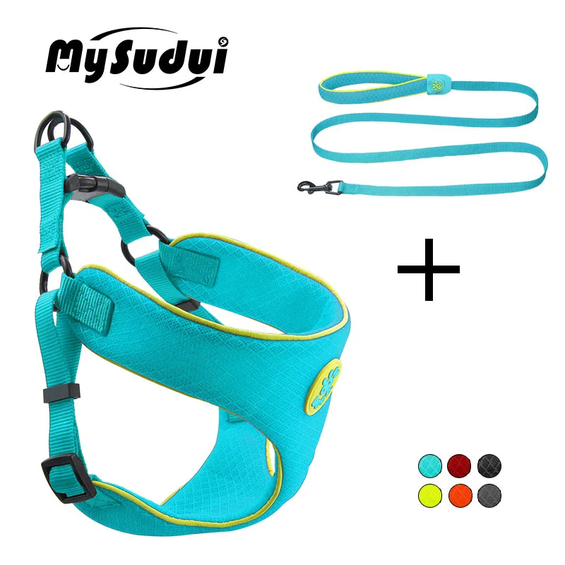 С воздухопроницаемой сеткой с изображением собаки жгут поводок набор