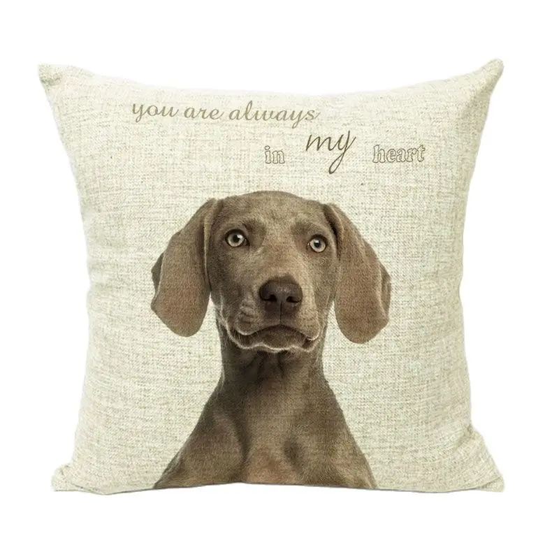Cuteness Animals Rabbit Dog Cushion Cover Brand Home Hotel Decor Kussenhoes Throw Pillow Square Car Seat Linen Cotton | Дом и сад