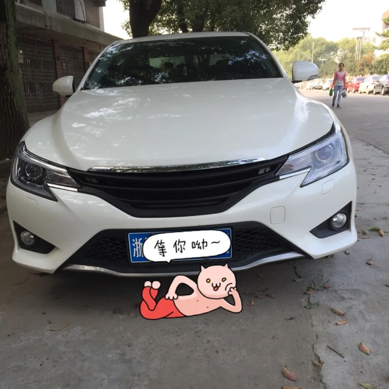 Reiz FRP на передний бампер для автомобильного стайлинга гриль решетка Toyota GS Style