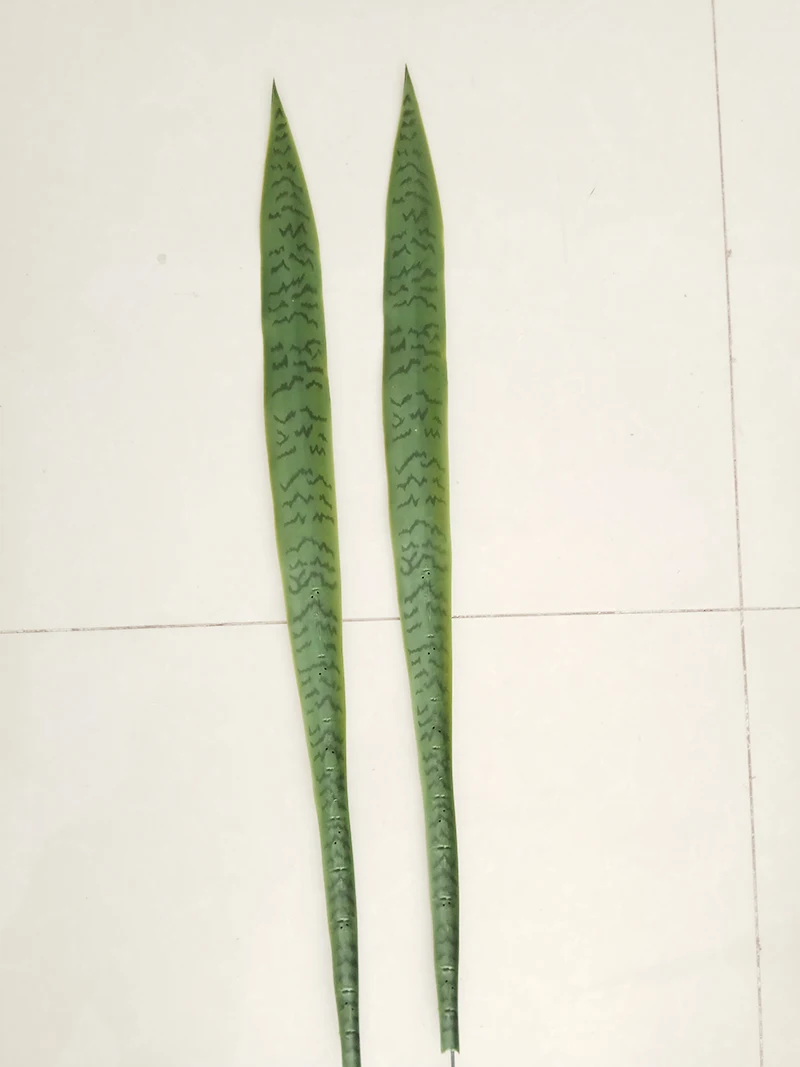 Зеленый Искусственное суккулентное растение Agave пустынные растения Sansevieria Trifasciata Prain домашний офис Декор Искусственный Бонсай тропические листья - Цвет: Зеленый