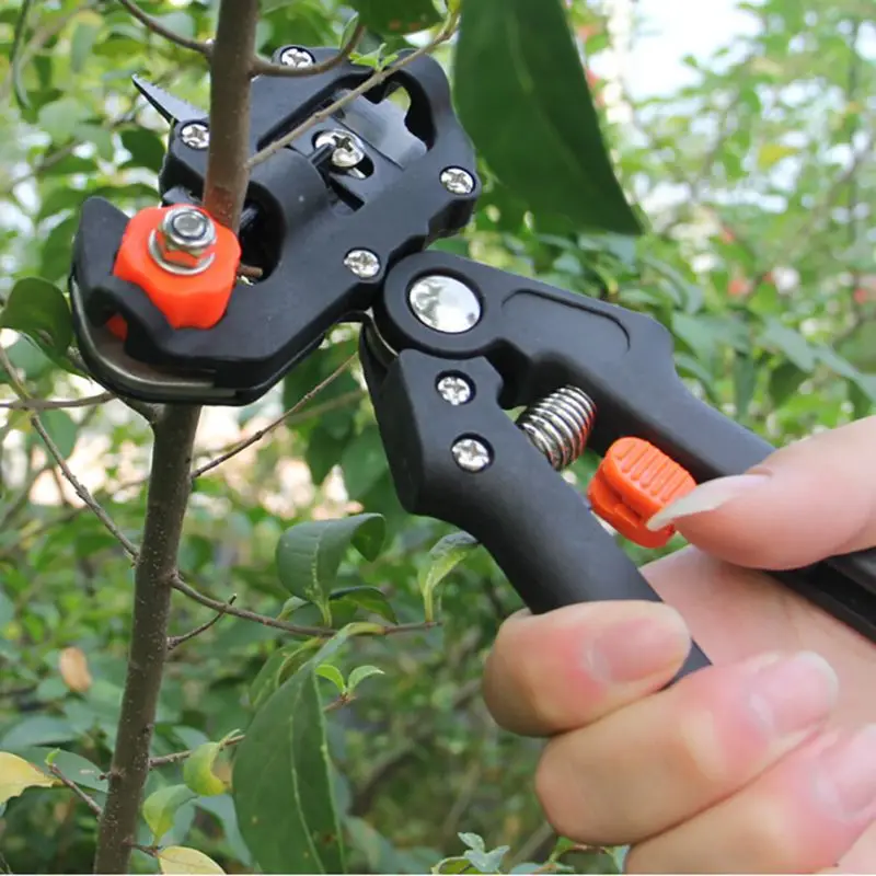

Garden Shears Pruning Cutting Shears Boxes Grafting Shears Tree Pruning Shears Cutting Machine +2 Blade Garden Tools