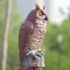 Изображение товара 1