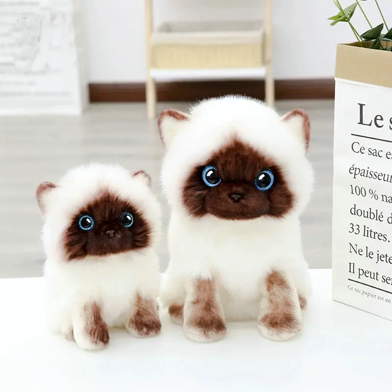 

Simulation Siamese cat Plush toy Blue Sequins eyes Cat Plush Doll Brown and White Face Ragdoll plush Cat Home Decor Doll toys