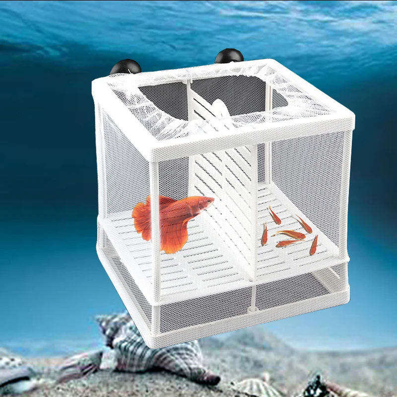 Изолирующая сетка для аквариума изоляционная коробка бетта гуппи инкубаторная