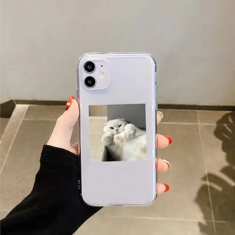 

cat animal card love Phone Case Transparent for iPhone 11 12 mini pro XS MAX 8 7 6 6S Plus X 5S SE 2020 XR