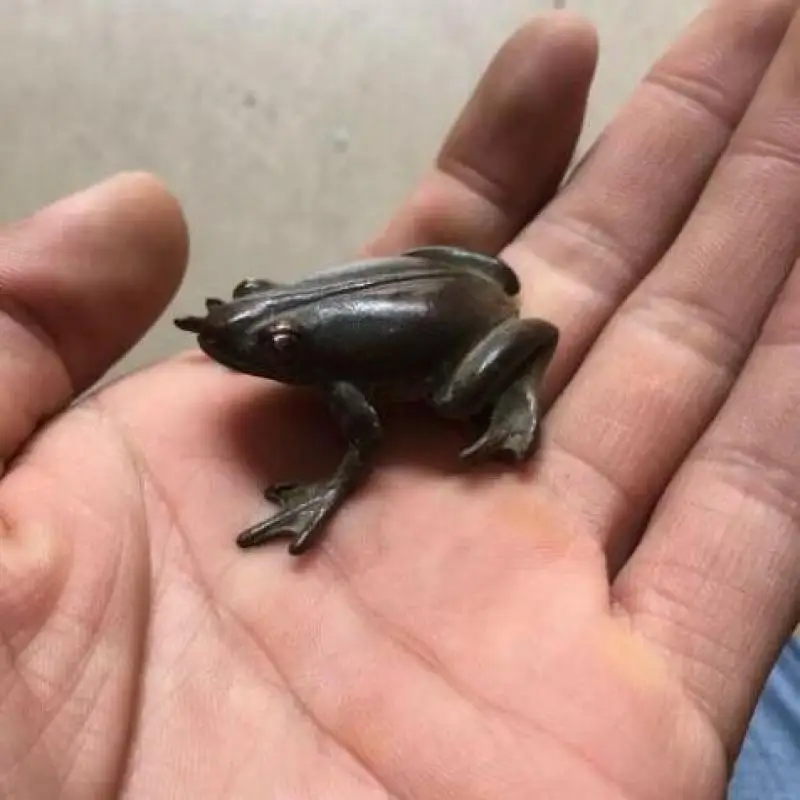 

Collection of Chinese bronze hand-carved special auspicious animals - frog