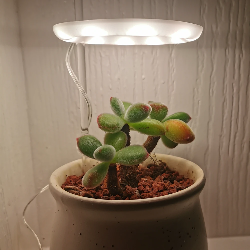 

5V LED USB Angel Ring Plant Grow Light For Succulent Full Spectrum Phyto Lamp Sunlike Indoor Flower Greenhouse Seedling