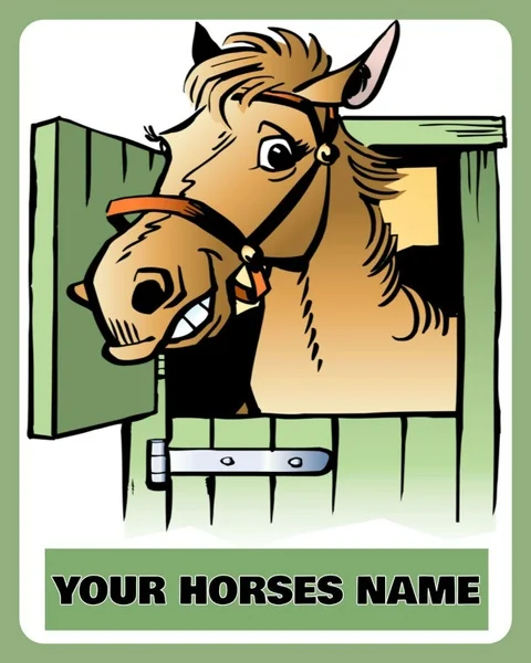 

Personalised Horse Pony Foal Name Stable Door Tack Room Metal 20X30 Tin Sign Plaque