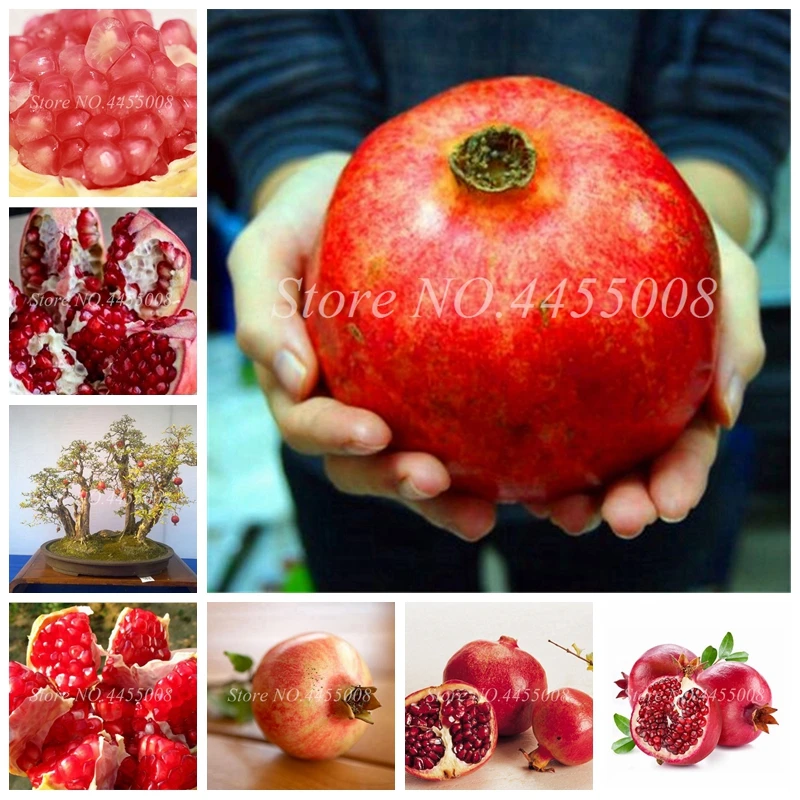 50 шт./пакет красный гранат Декор искусственные цветочные горшки |