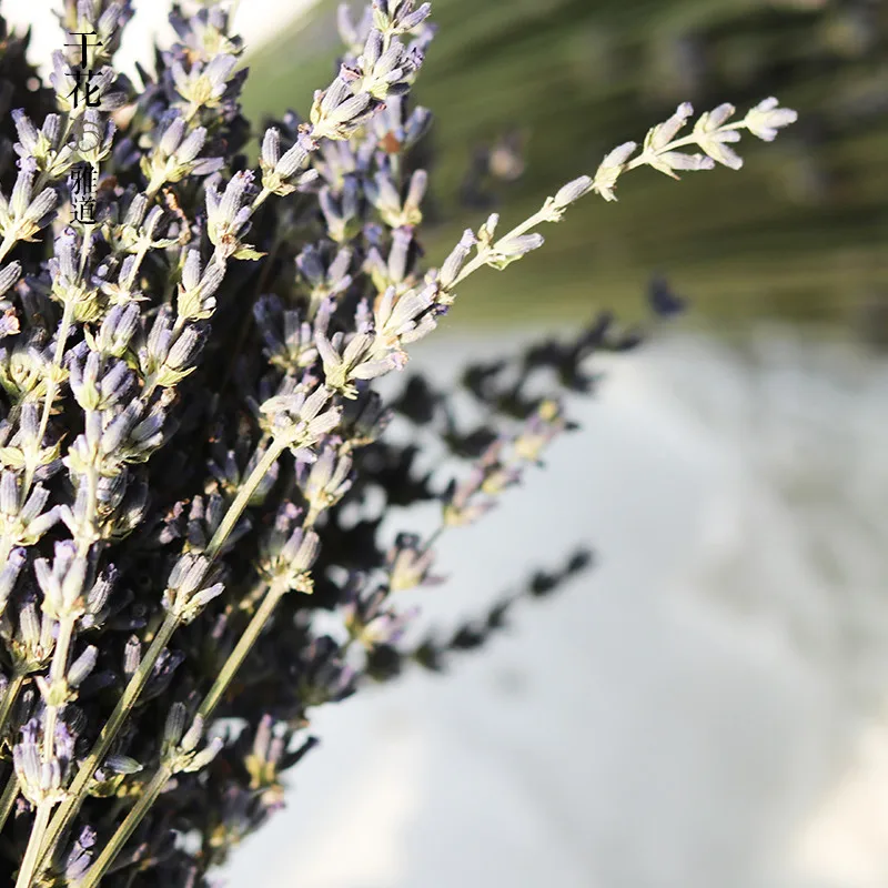 Свадебные букеты из сушеных цветов 200 г букет натуральных лавандовых без вазы |