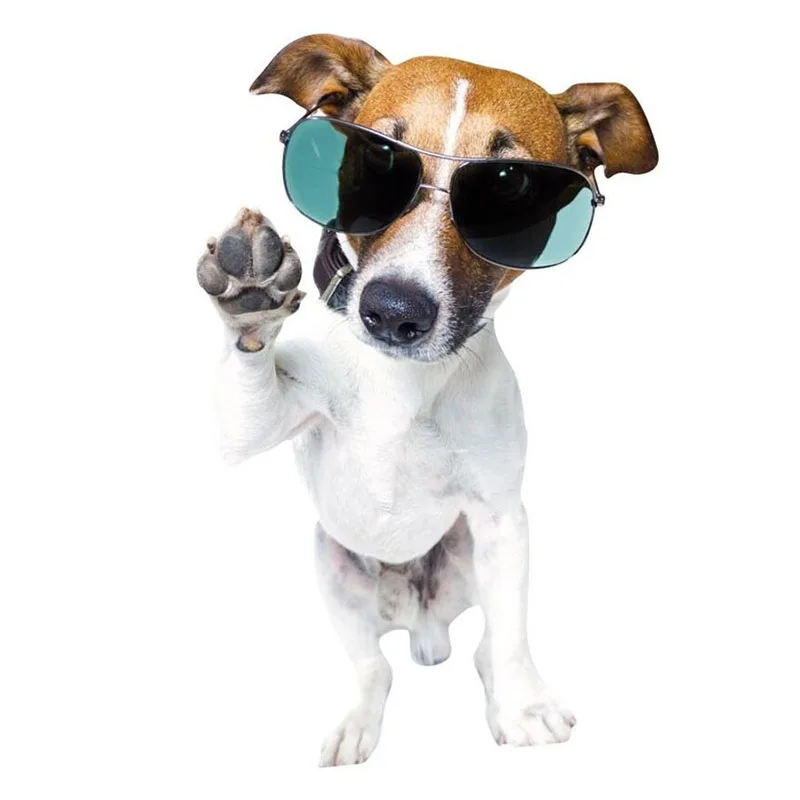 Алмазная 5D картина Собака полноразмерная круглая вышивка крестиком мозаика из