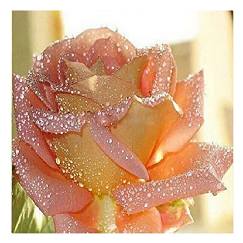 

SenyuArt DIY алмазная живопись камни в форме ромба круглыми стразами Стразы вышивка крест с цветами розы картинки, Алмазная мозаика домашний дек...