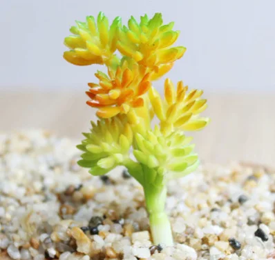 Искусственные суккуленты декоративный кактус поддельные растения мини-бонсай