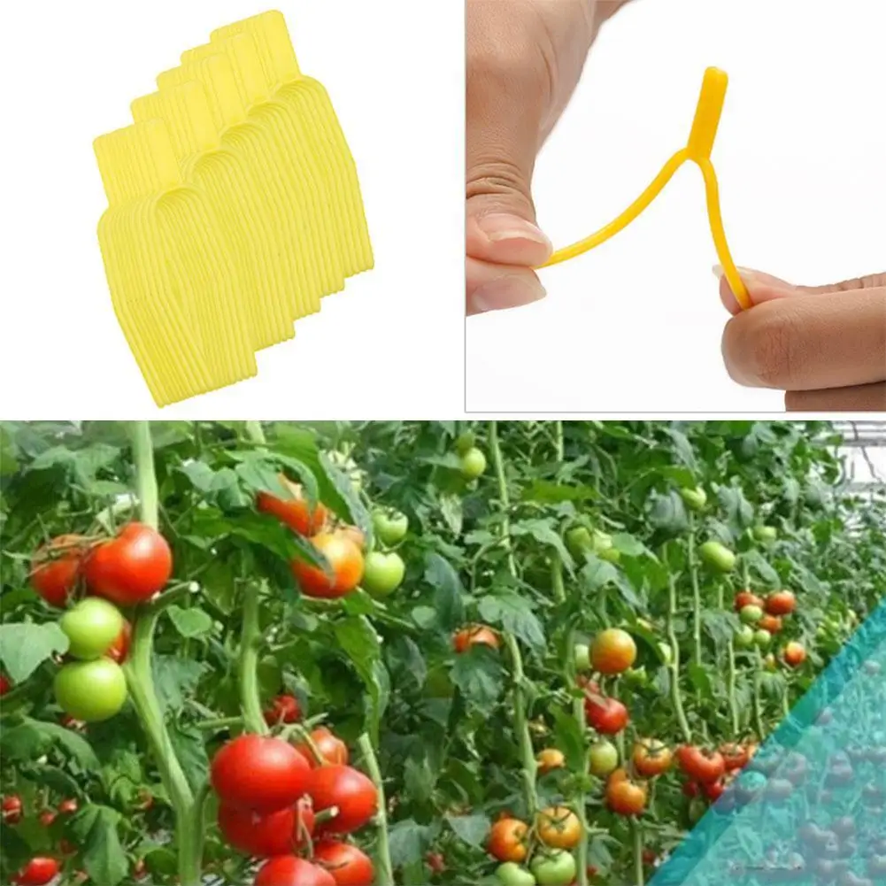 

50/100pcs Plastic Plant Climbing Support Clips Plant Supplies Strawberry Tomato For Flower Seedling Garden Buildings Vine H Z0K3