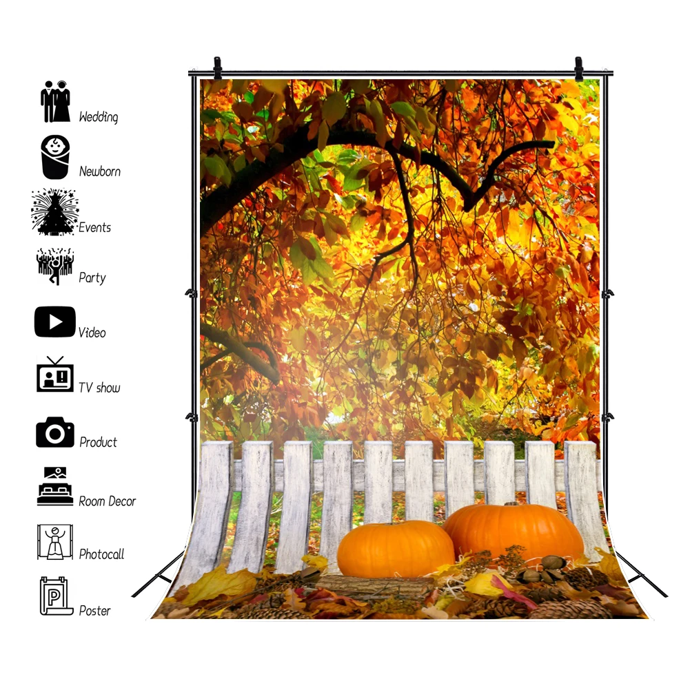 Laeacco осенний фонарь фрукты кленовый лес Солнечный свет природа живописный белый