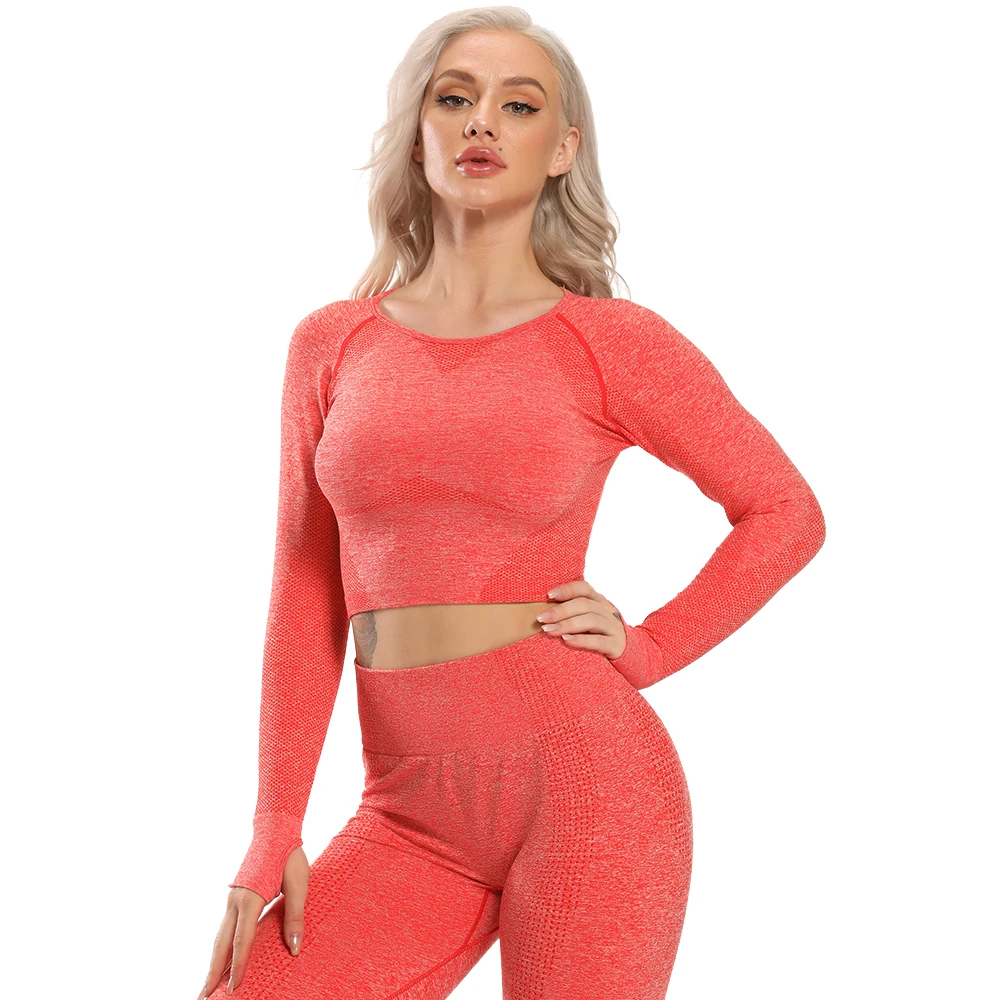 

Seamless Yoga Top Long Sleeve Workout Tops for Women Crop Tops Women 2020 Sportswear Short Active Sexy Gym Clothing