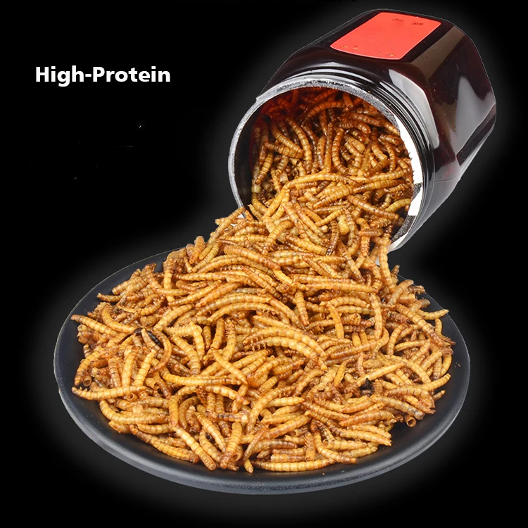 Сублимированный муравей Mealworm 25 г/50 г гнездо муравьев питательный белок