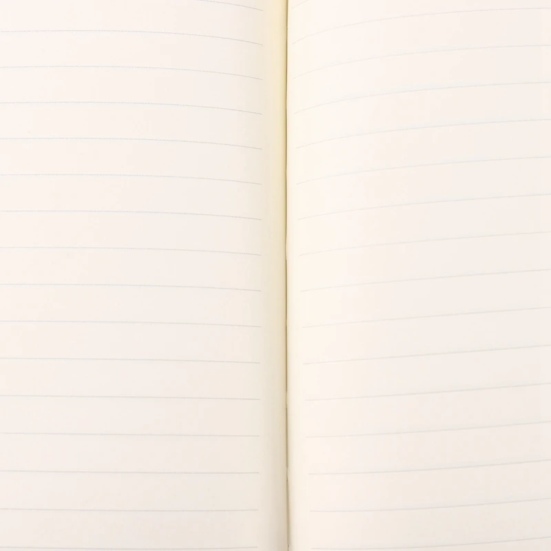 

Notebooks & Writing Pads