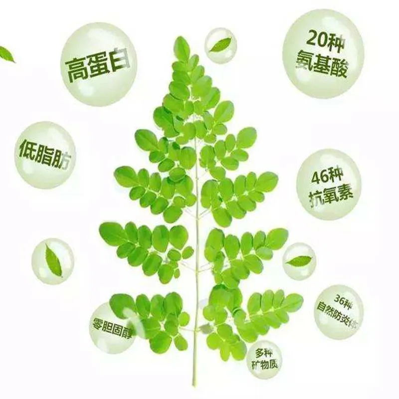 

99% High Quality Moringa Leaf Extract Powder,Moringa Leaves,Detoxification,Body Shaping,Anti-Aging,Anti-Cancer,Free Shipping