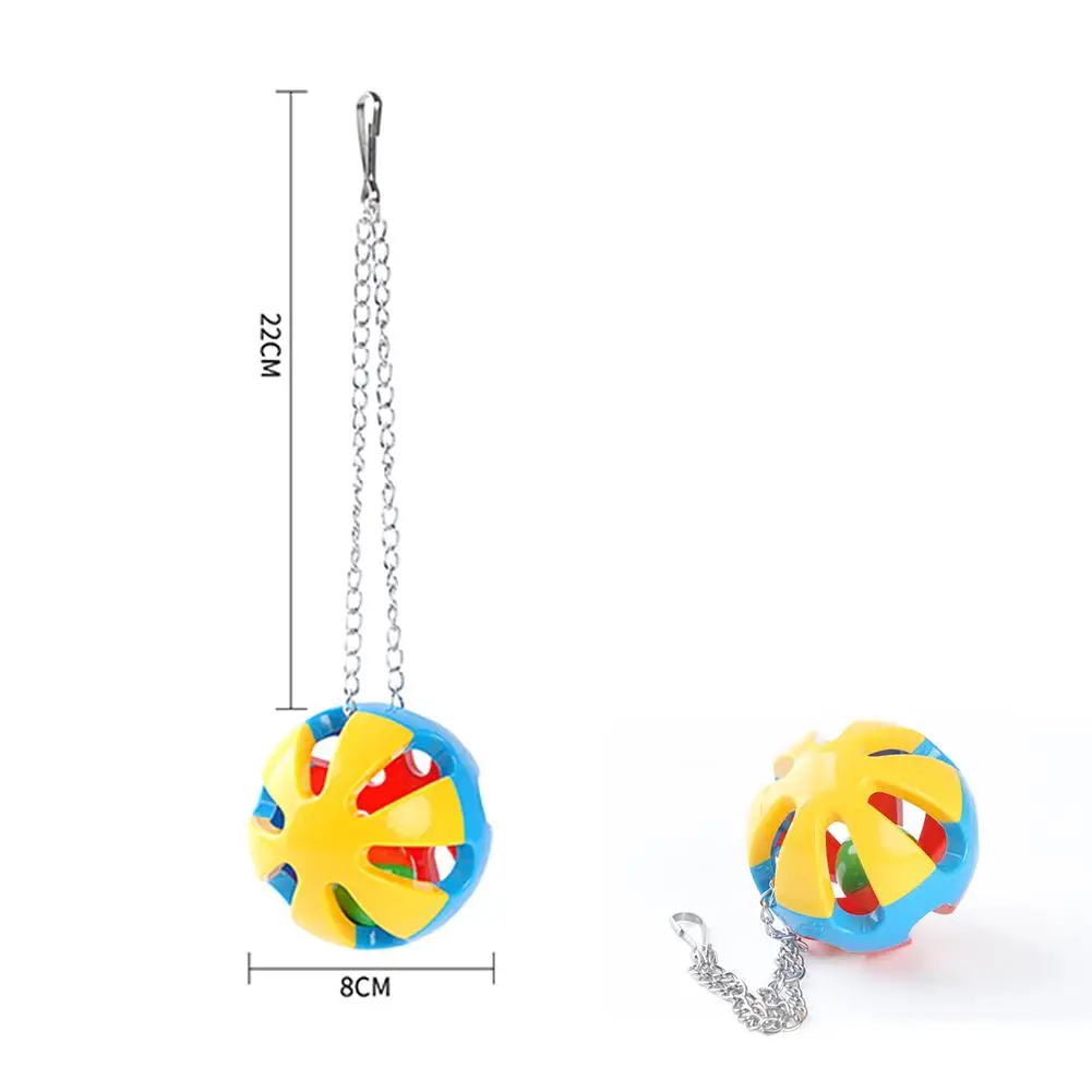 

Training Pet Bird Toy Set Interactive Equipment Set Funny Bird Activity Basketball Skateboard