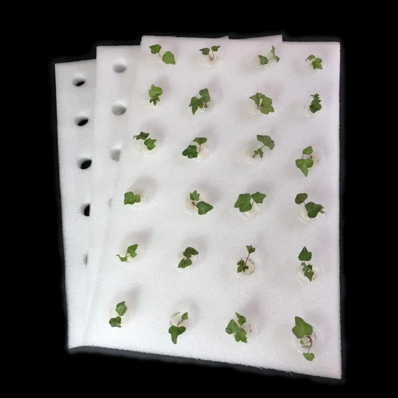1 шт. 60*40 см пенопластовая доска Soilless культивационное - Цена: 