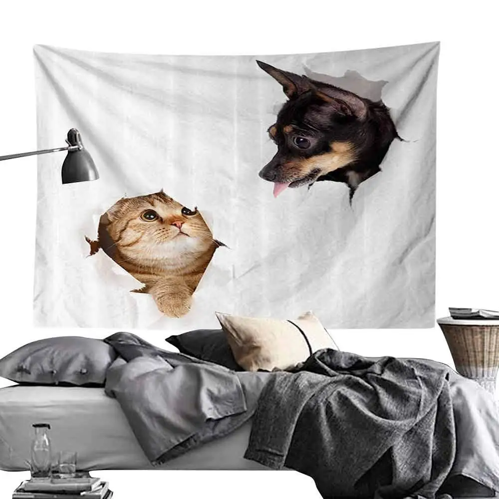 Животное кошка и собака в бумажной стороне ваные дыры Забавный котенок щенок