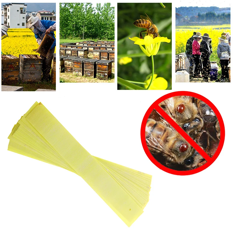 Pro Acaricide Varroa Strip Fluvalinate пчелиные клеща пчеловодство для борьбы с вредителями