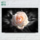 Современная Картина на холсте, розовые розы, цветочные плакаты и принты, черная Настенная картина, настенные картины для гостиной, домашний декор SY01