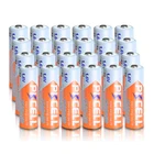 Аккумуляторы PKCELL AA NIZN, 1,6 в, МВтч, 24 шт., чехол с 6 отсеками белого цвета для игрушек и камер