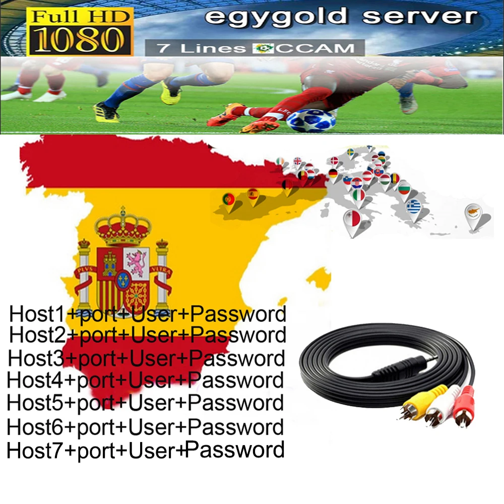 Egygold 1 год 7 cline cccam europa сервер для Европы Португалия Польша Италия Испания Турция