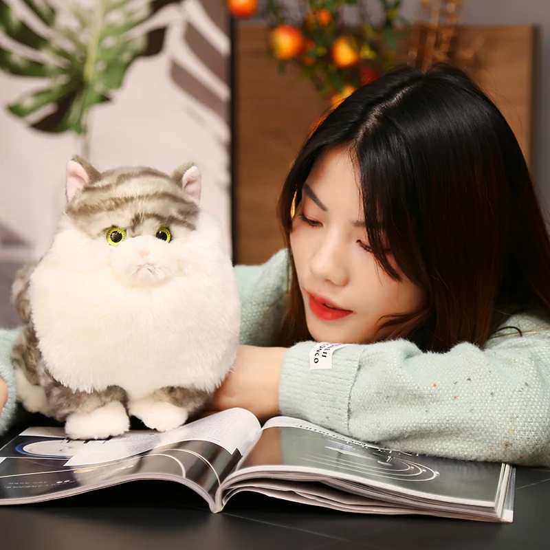 Kawaii Persian Cat Fat Cat Animal Plush Toys Figurine Ferret Fleece Fabric Comfortable And Soft Home Decoration Christmas Gifts images - 6