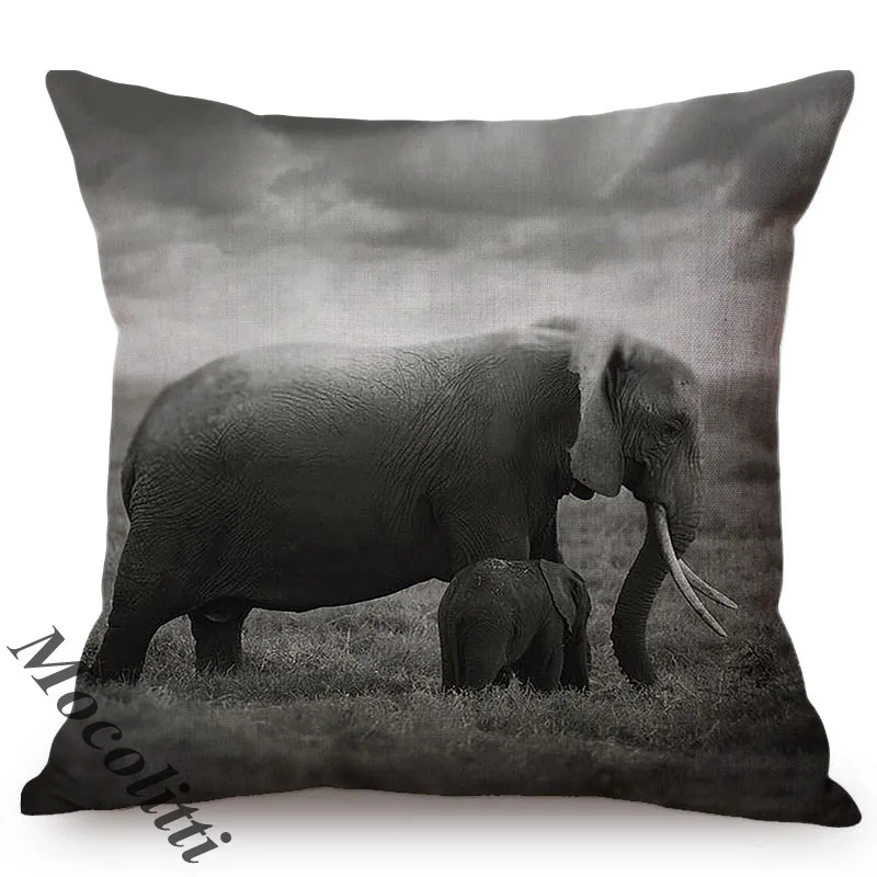 Африка животное жизнь пейзаж черно-белый фотография Искусство украшение дома