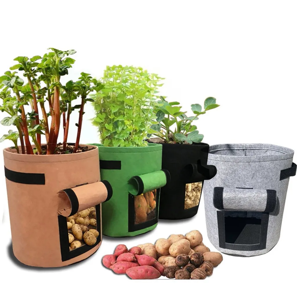 4 вида цветов мешки для растений домашний сад горшок картошки парниковых вот уже