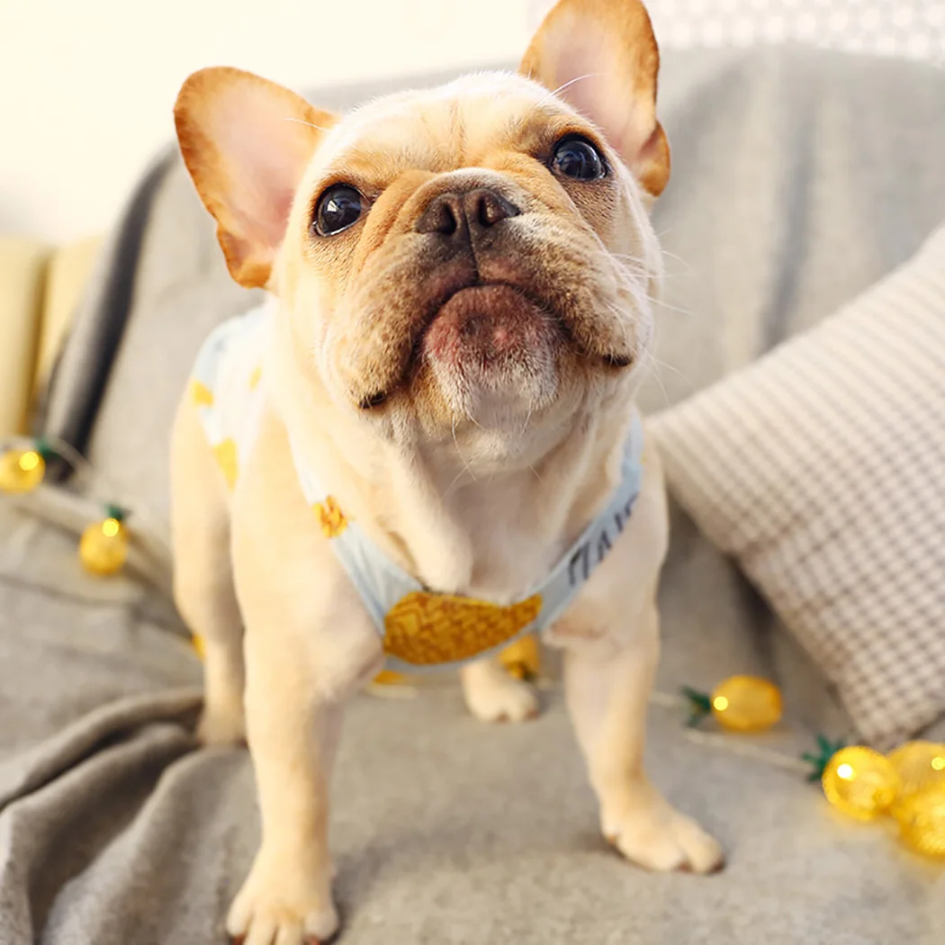 

Puppy Vest Cute Cool Breathable Dog Vest Dog Shirt for French Bulldog Corgi Pet Clothing Cat Outfit Dog Clothes for Small Pet