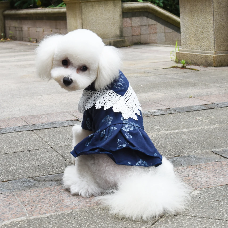 Осенне зимняя одежда для собак распродажа милое платье принцессы с принтом юбка