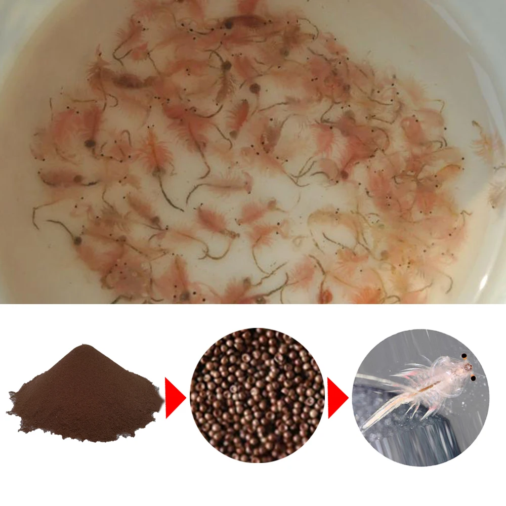 

Artemia Cysts Eggs Brine Shrimp Eggs Artemia 90% up Hatchability Fish Food for Feeding Baby Fishes Cyst with shell