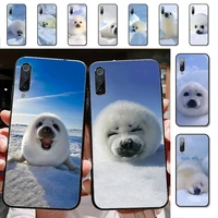 yndfcnb baby harp seal sea lion phone case for xiaomi mi 8 9 10 lite pro 9se 5 6 x max 2 3 mix2s f1