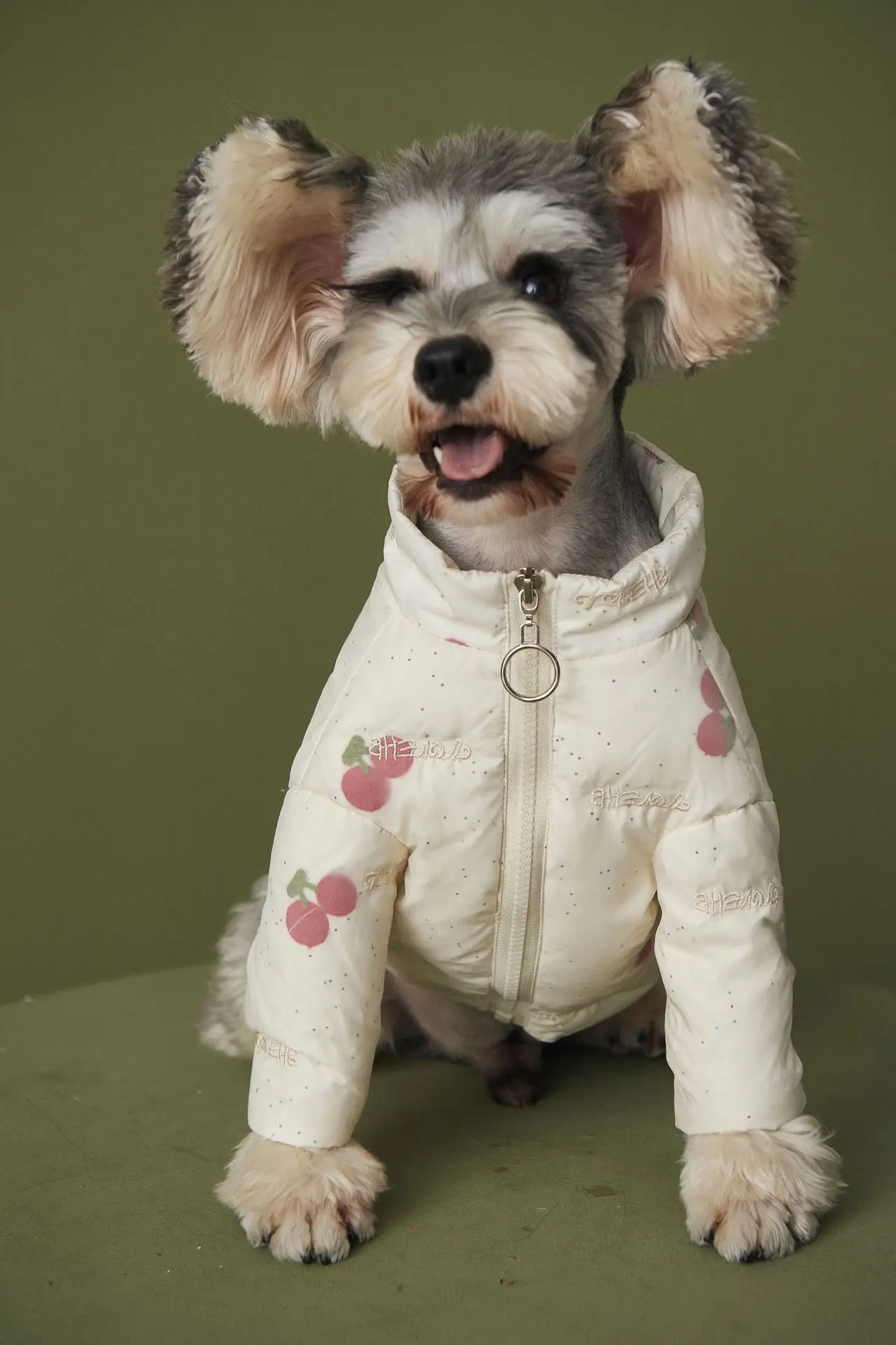 

Fashion Dog Down Jacket Wear Dogs Puppy Snowsuit Winter Warm Sweater Schnauzer Pug French Bulldog Hoodie Coat Dropshipping YHC10