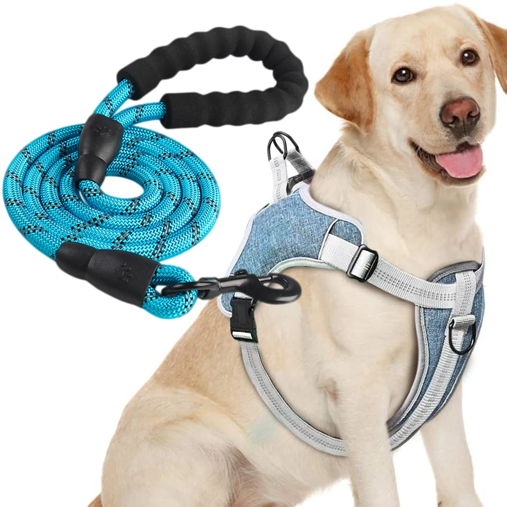 

Adjustable Dog Harness and Leash Set Reflective Breathable No Pull Pet Harnesses Vest for Puppy Medium Large Dog Outing Training