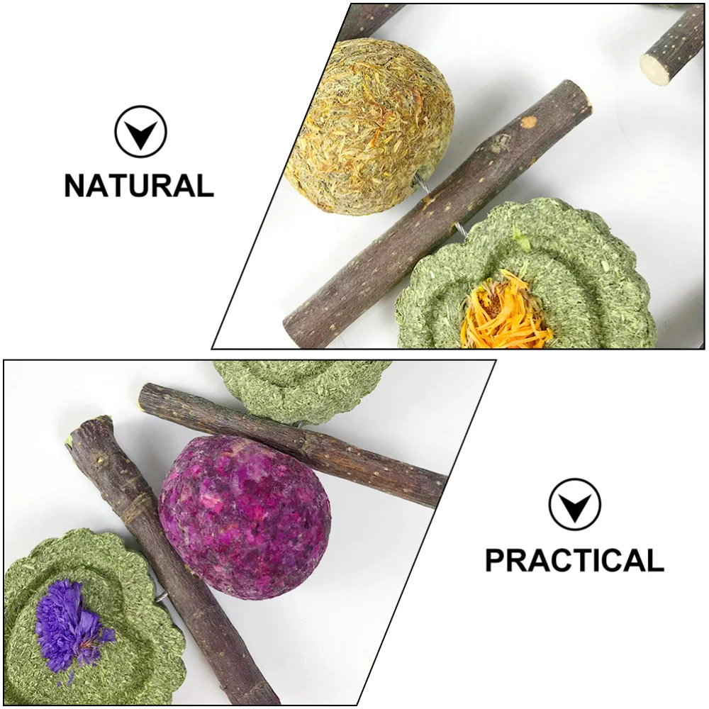 

2Pcs Hamster Biting Toys Pet Teeth Grinding Toys Guinea Molar Strings